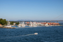 IMG_1290